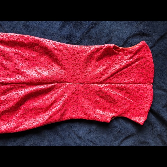 Pink Lace Dress - Picture 4 of 4